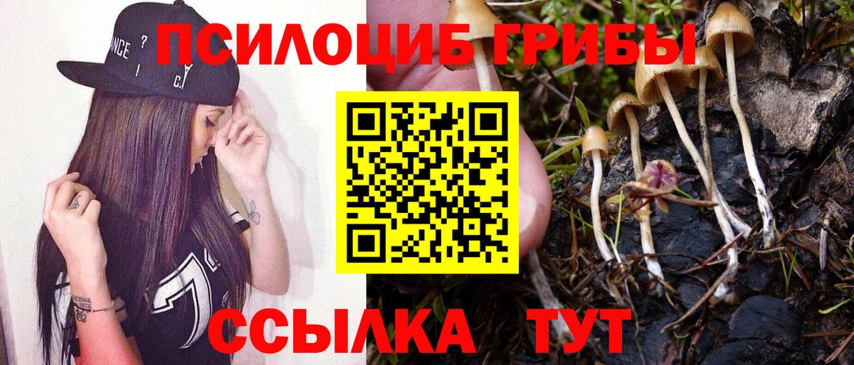 Приморско-Ахтарск  Галлюциногенные грибы прущие грибы  Вход с VPN 
