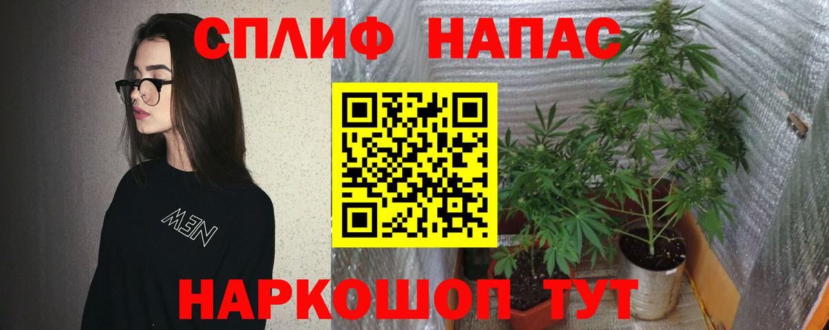 Марихуана конопля Приморско-Ахтарск